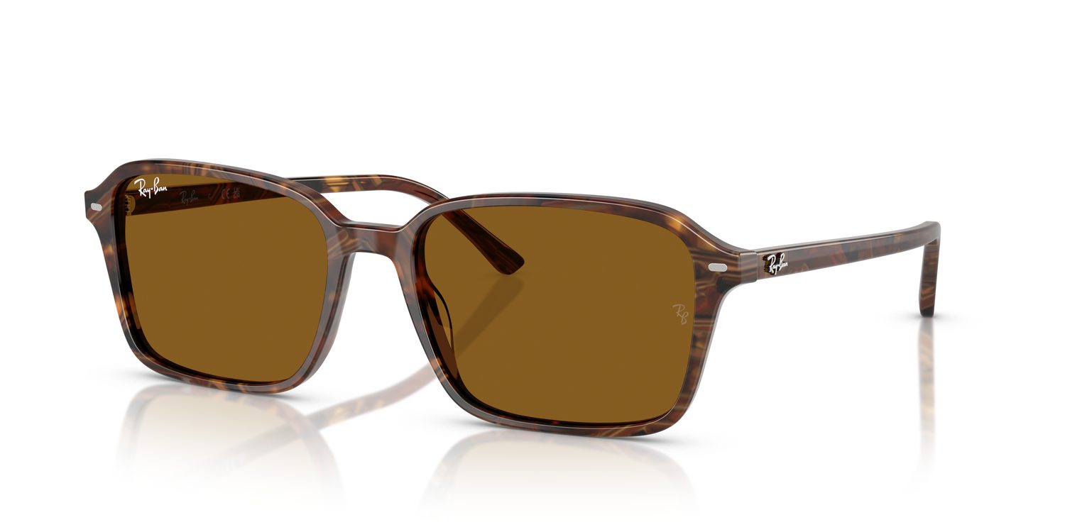 Ray-Ban | 0RB2231