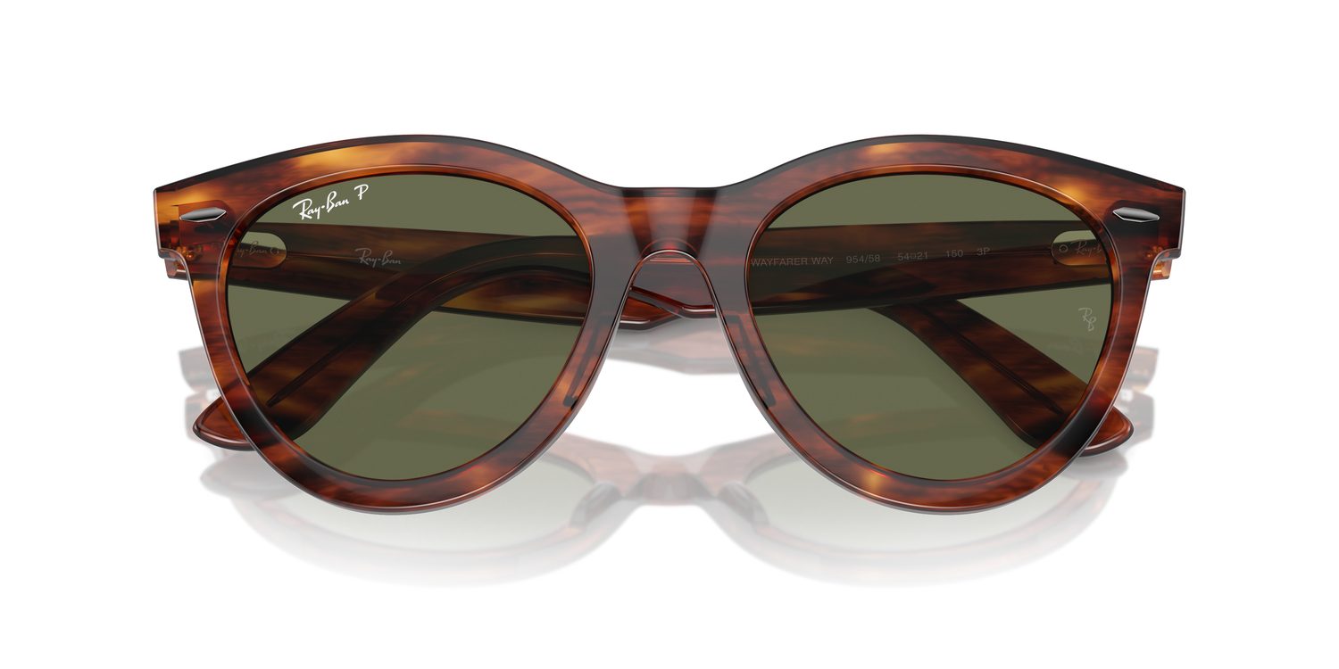 Ray-Ban | 0RB2241