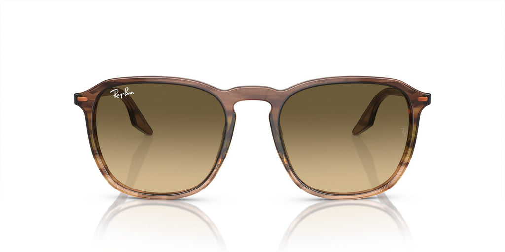 Ray-Ban | 0RB2203