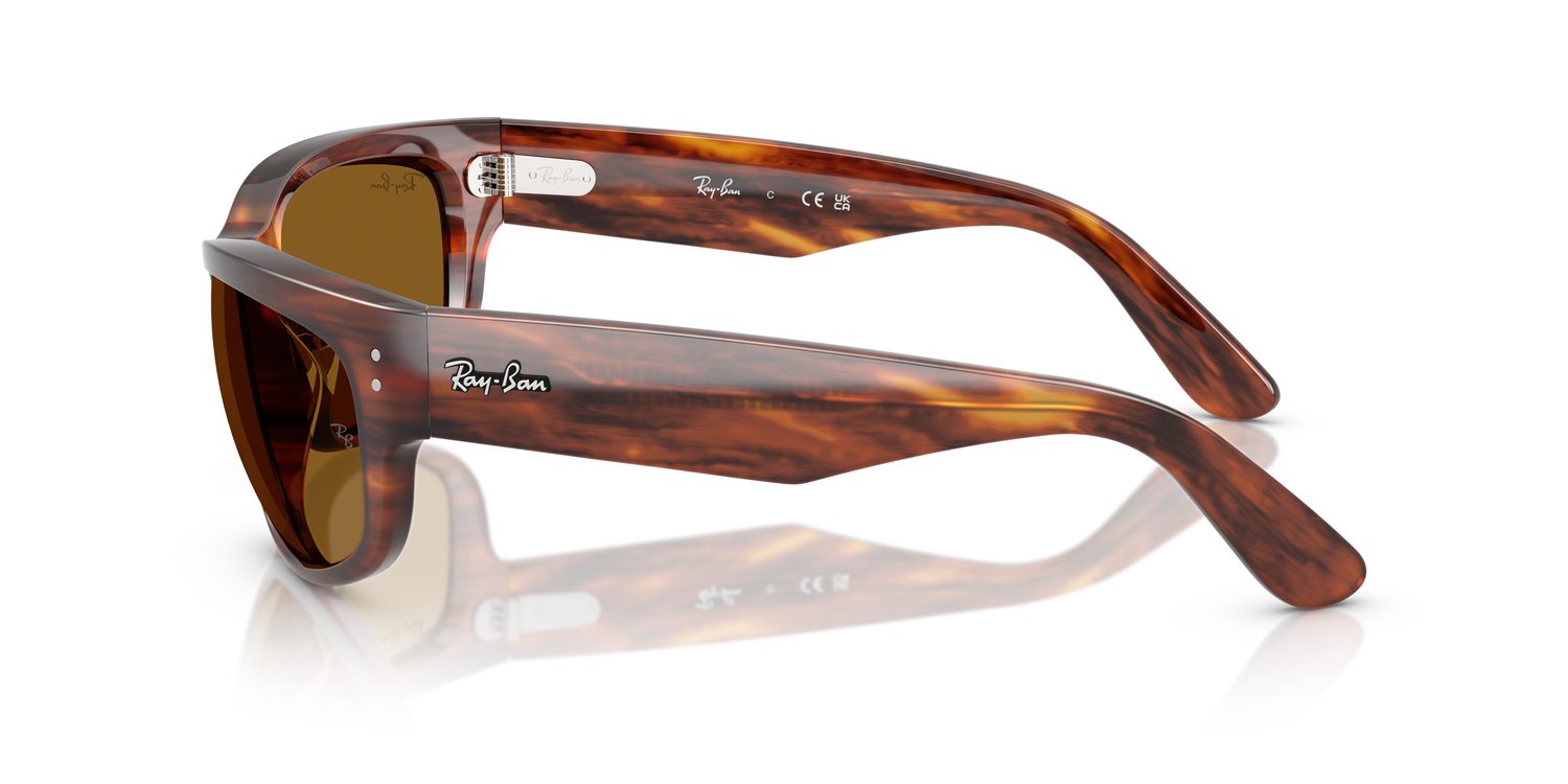 Ray-Ban | 0RB2289