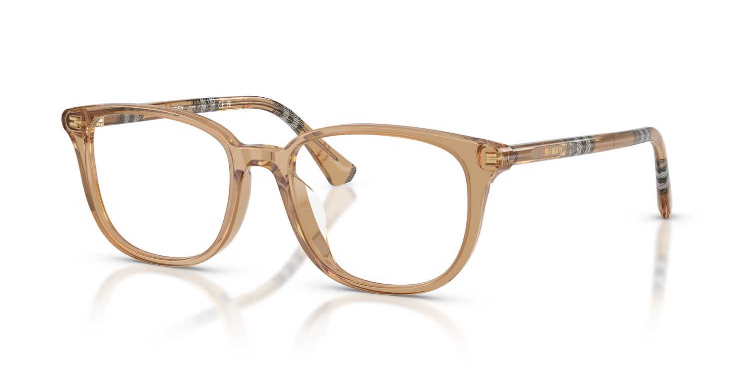 Burberry | 0BE2434D