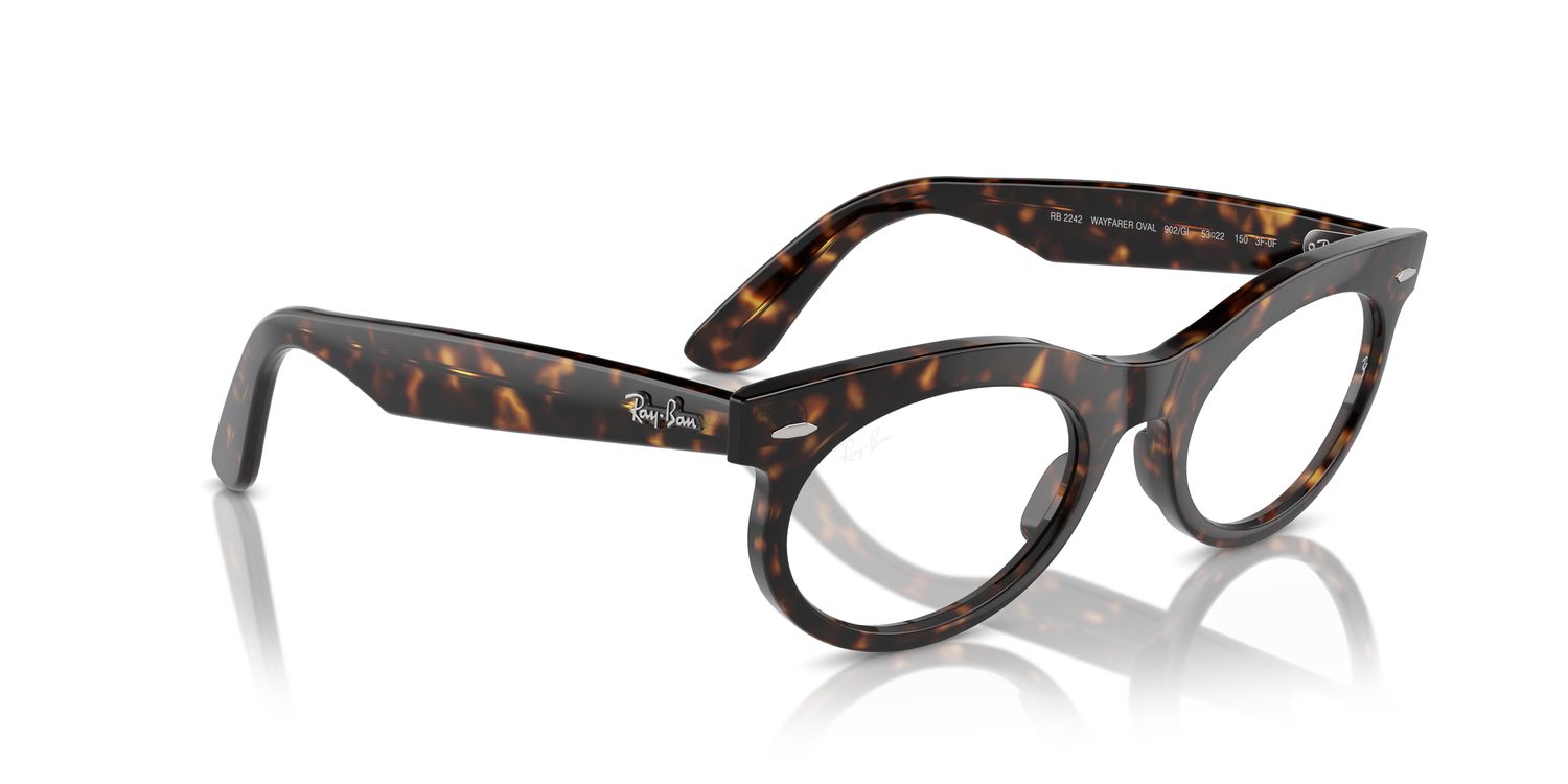 Ray-Ban | 0RB2242