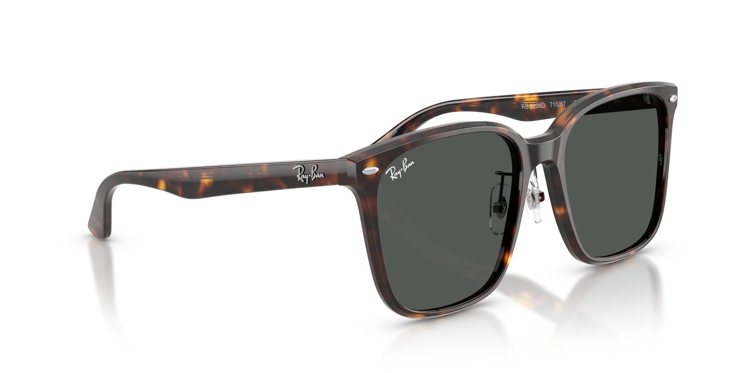 Ray-Ban | 0RB2206D