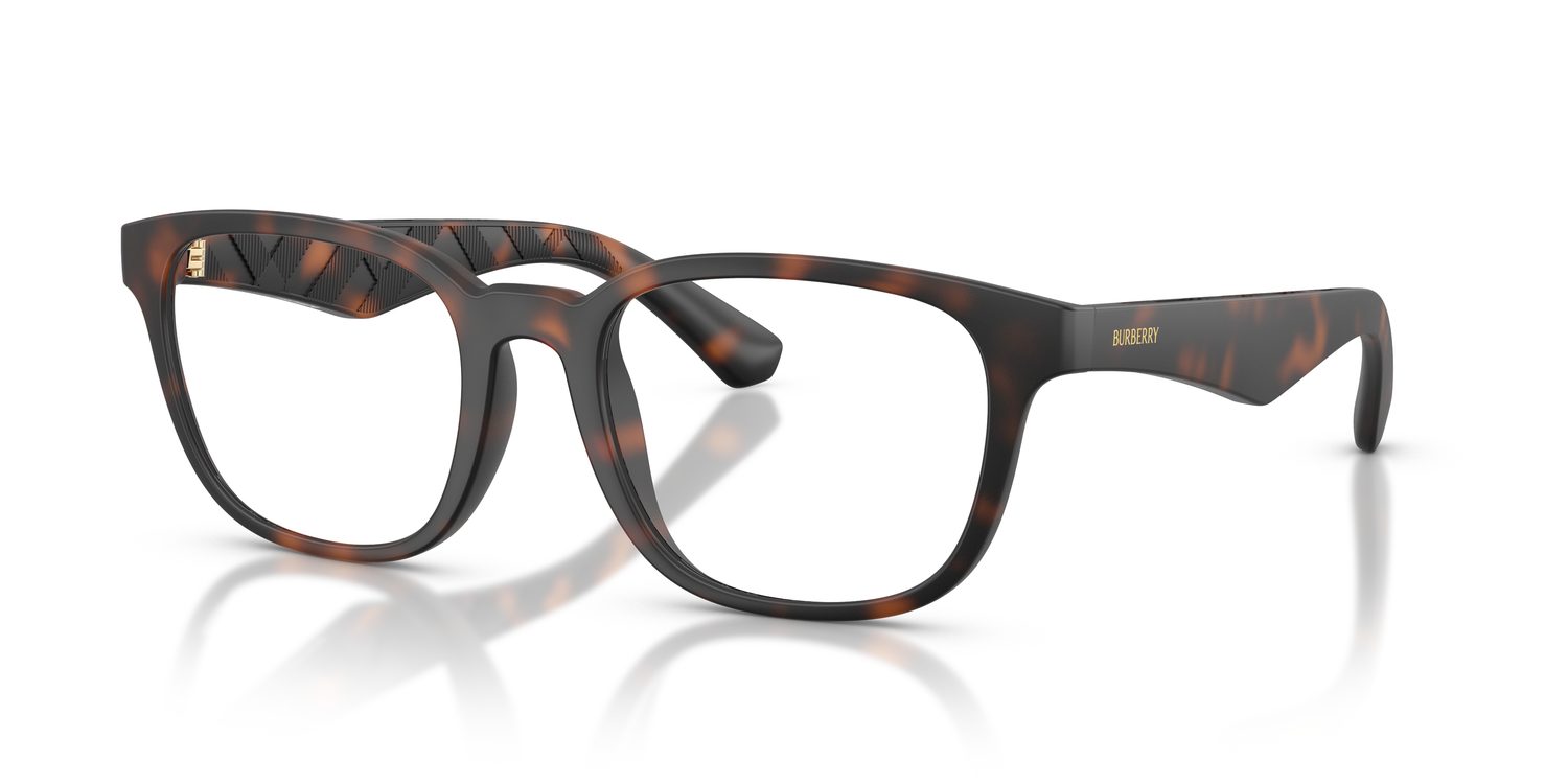 Burberry | 0BE2433U