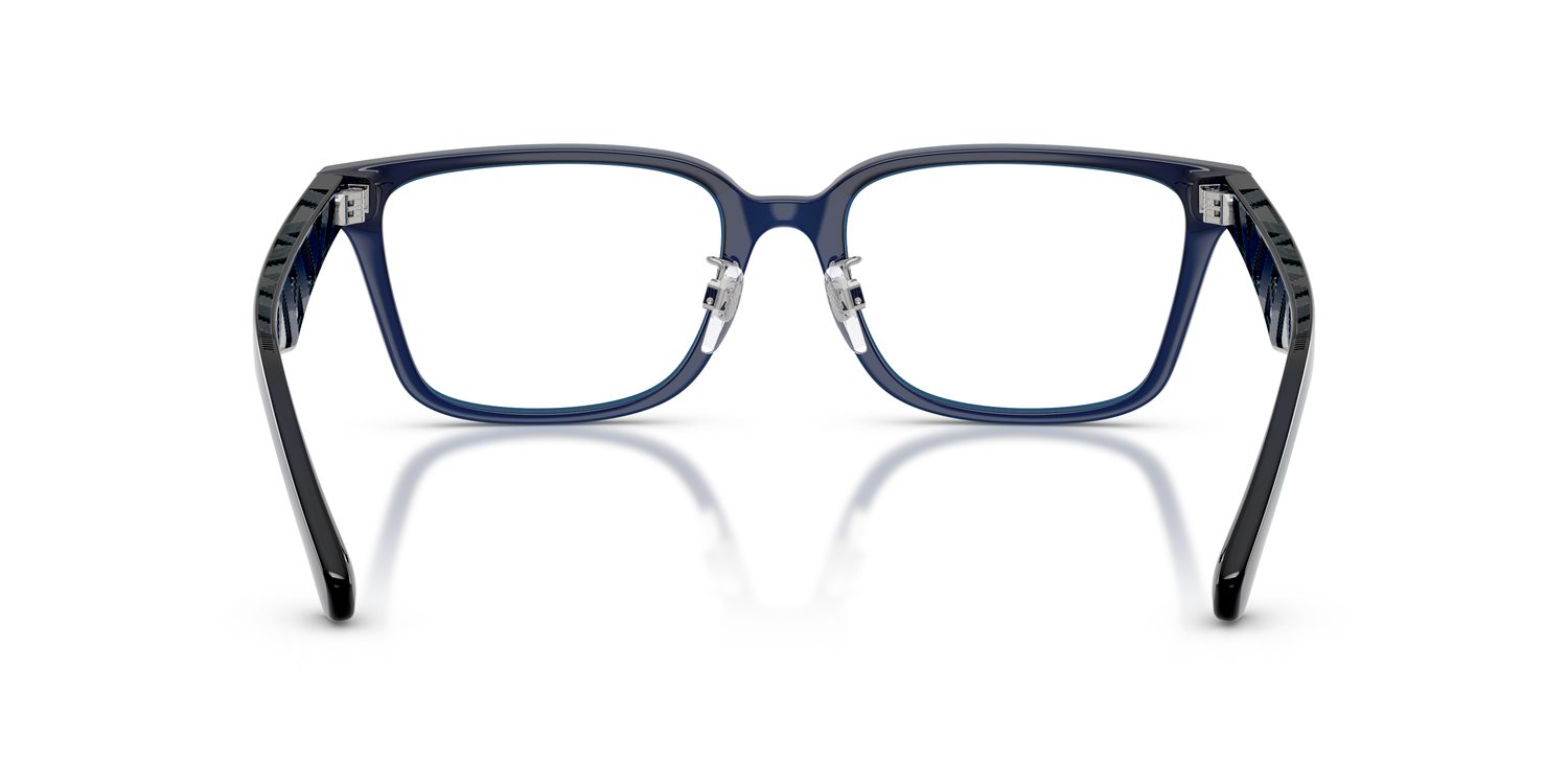 Burberry | 0BE2450D
