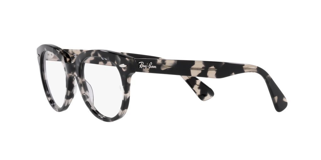 Ray-Ban | 0RX2199V (Orion)