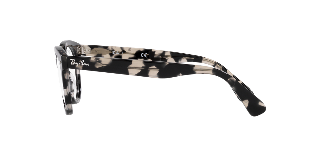 Ray-Ban | 0RX2199V (Orion)