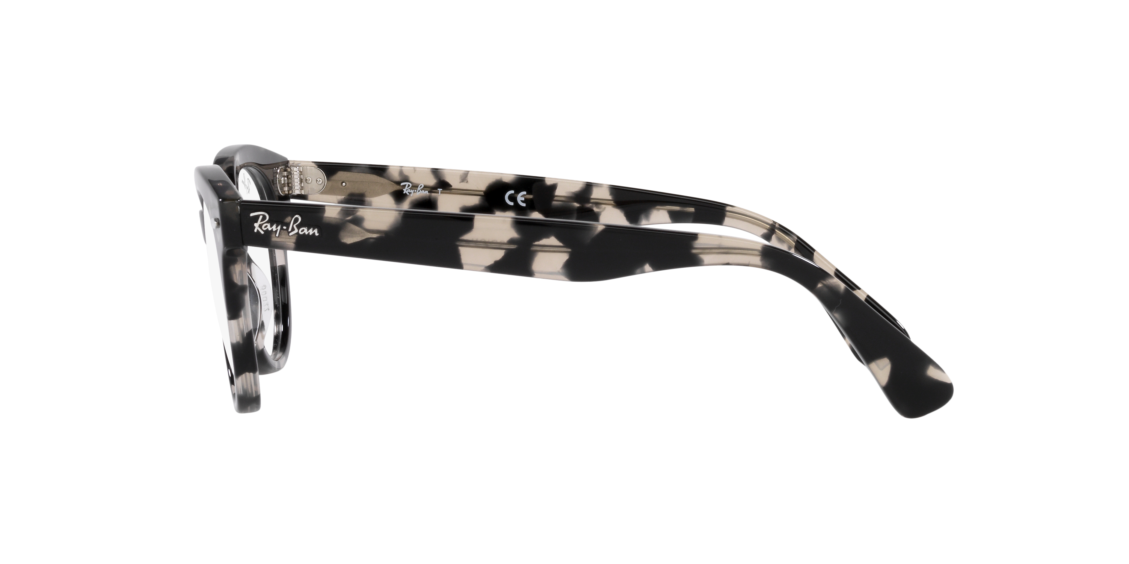 Ray-Ban | 0RX2199V (Orion)