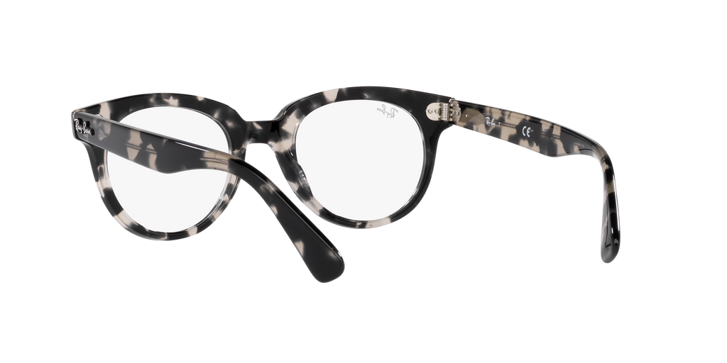 Ray-Ban | 0RX2199V (Orion)