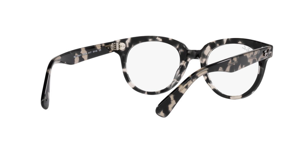 Ray-Ban | 0RX2199V (Orion)