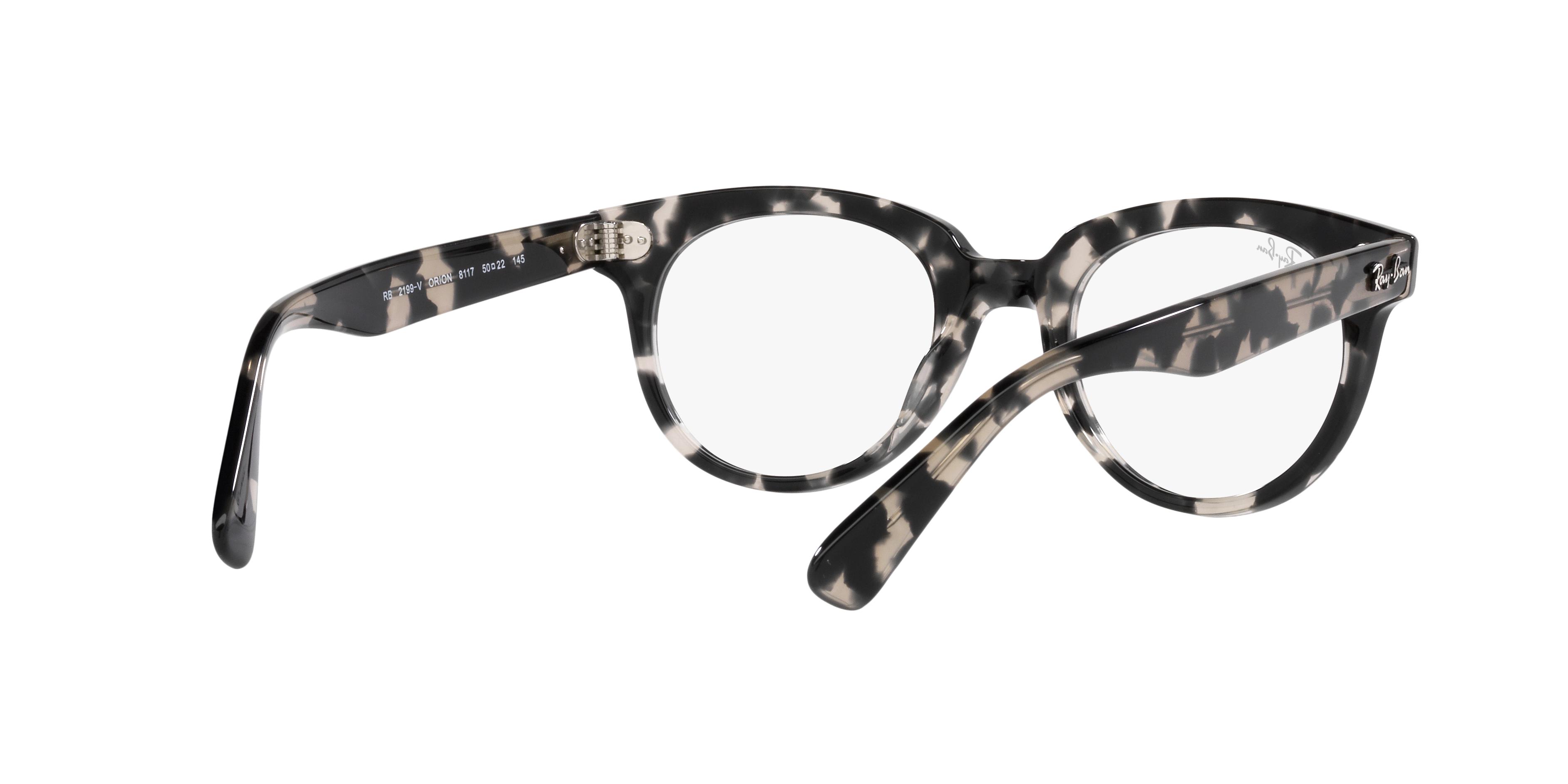 Ray-Ban | 0RX2199V (Orion)