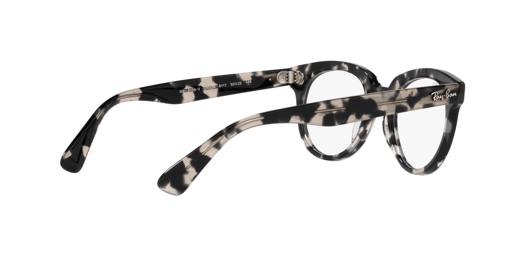 Ray-Ban | 0RX2199V (Orion)