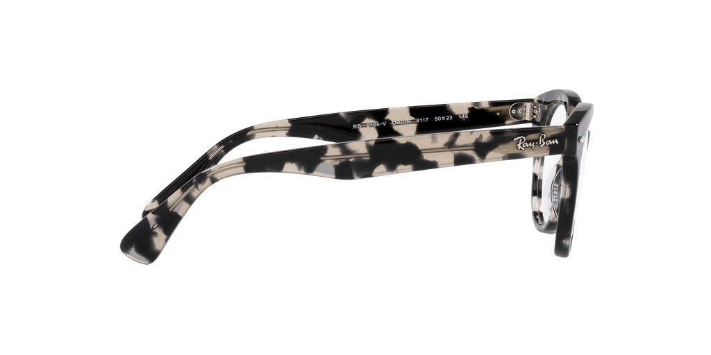 Ray-Ban | 0RX2199V (Orion)