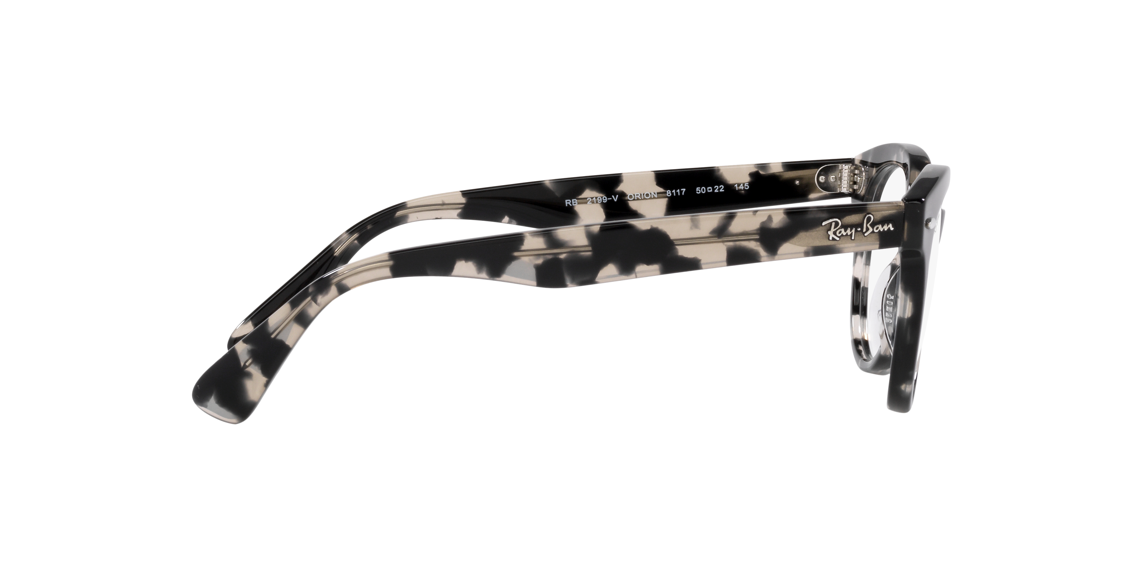 Ray-Ban | 0RX2199V (Orion)