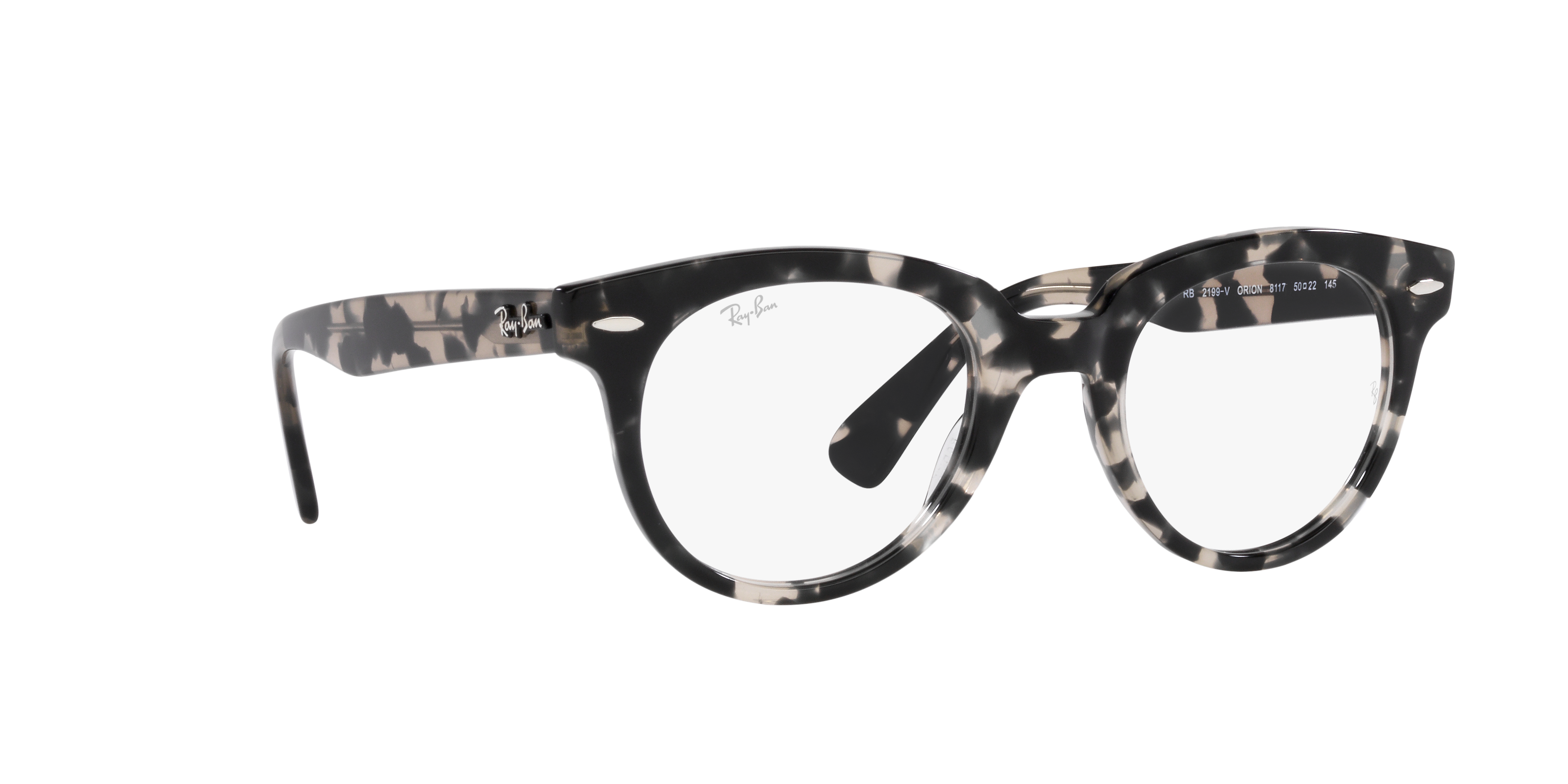 Ray-Ban | 0RX2199V (Orion)