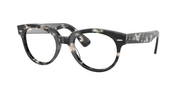Ray-Ban | 0RX2199V (Orion)