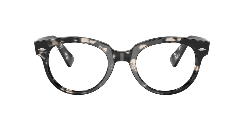 Ray-Ban | 0RX2199V (Orion)