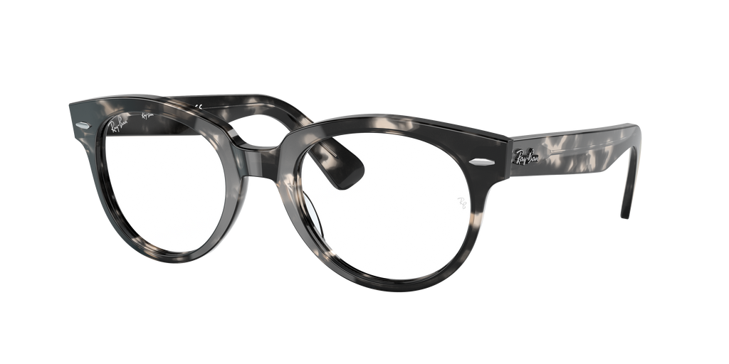 Ray-Ban | 0RX2199V (Orion)
