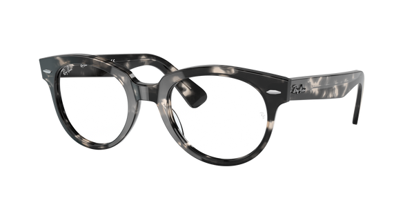 Ray-Ban | 0RX2199V (Orion)