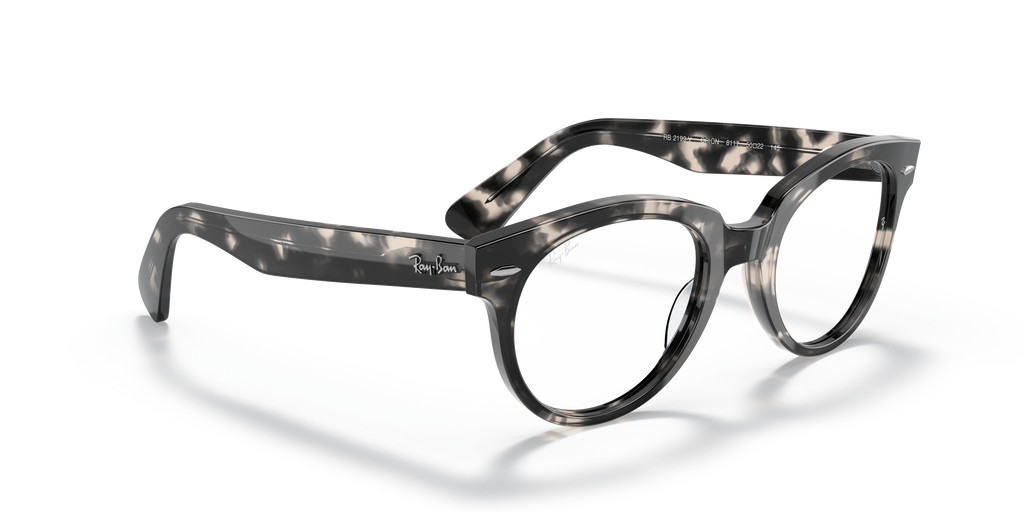 Ray-Ban | 0RX2199V (Orion)