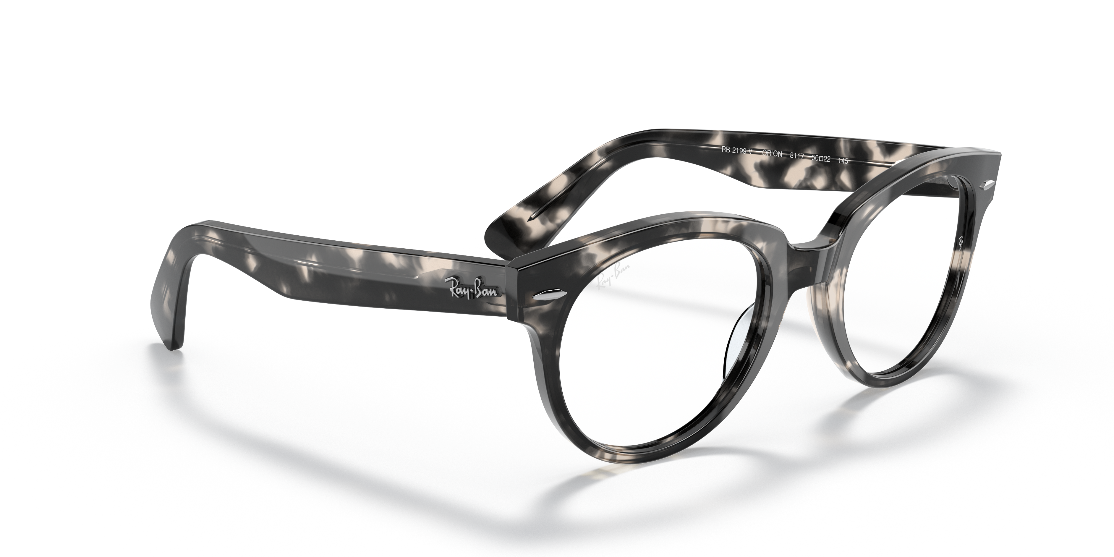 Ray-Ban | 0RX2199V (Orion)