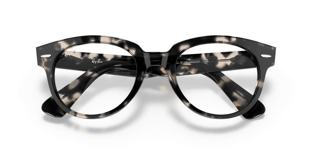 Ray-Ban | 0RX2199V (Orion)