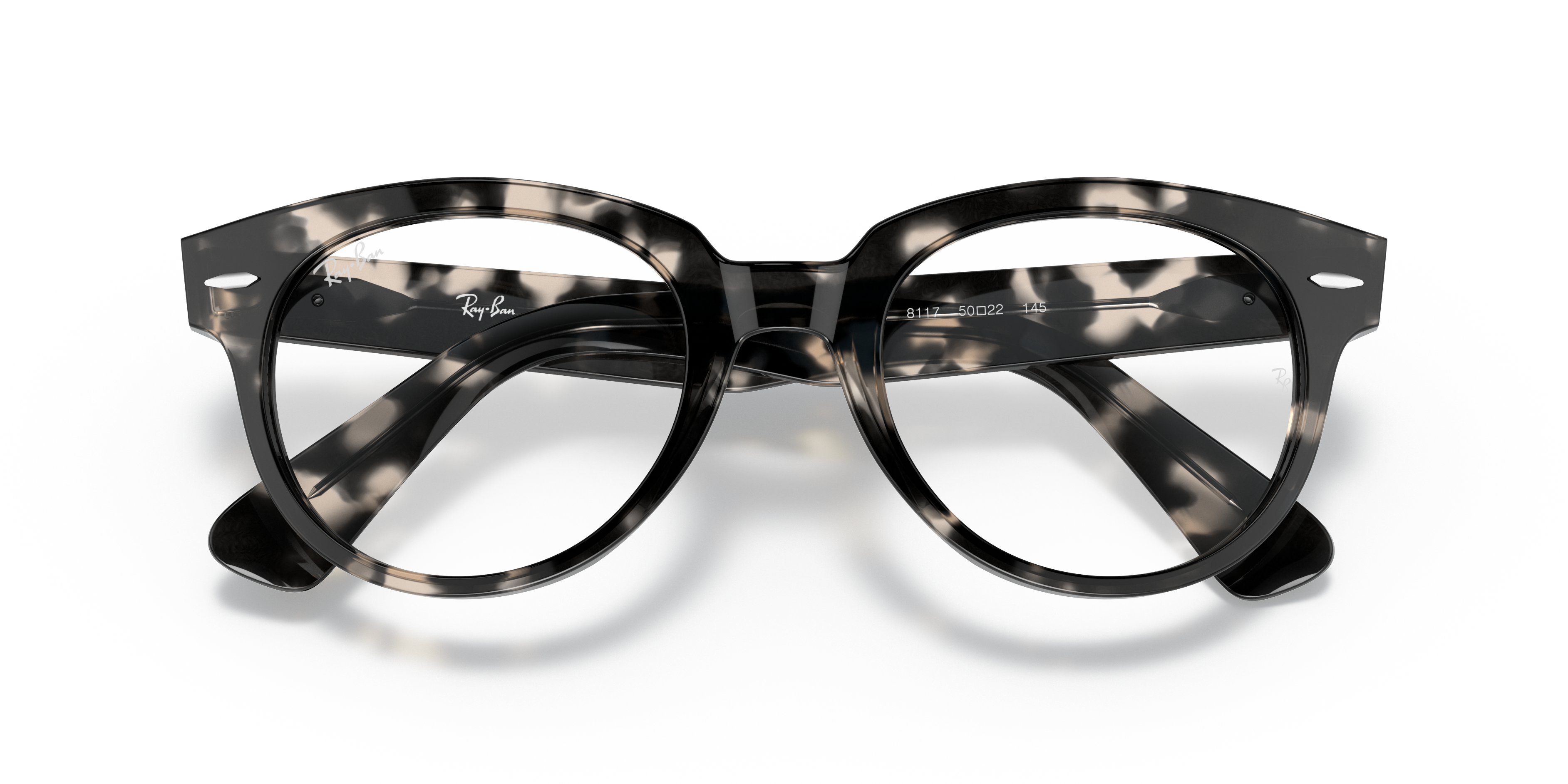 Ray-Ban | 0RX2199V (Orion)