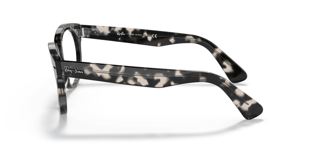 Ray-Ban | 0RX2199V (Orion)