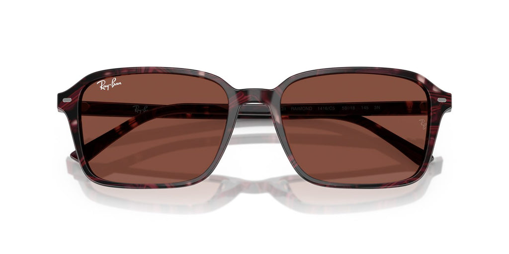 Ray-Ban | 0RB2231