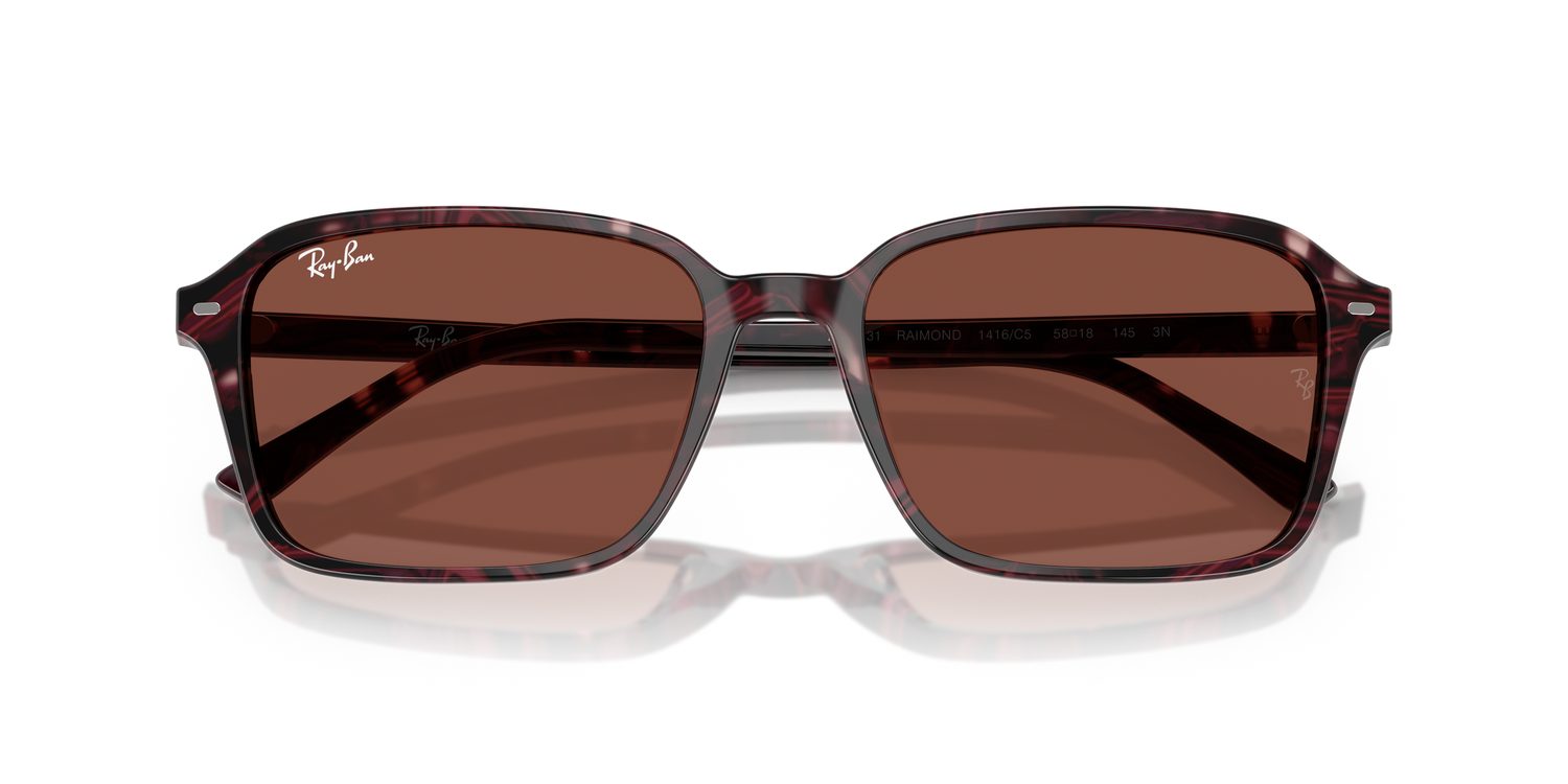 Ray-Ban | 0RB2231