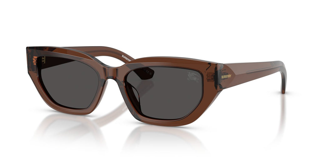 Burberry | 0BE4463D