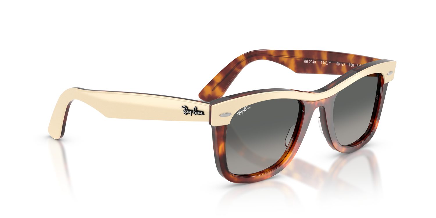 Ray-Ban | 0RB2240