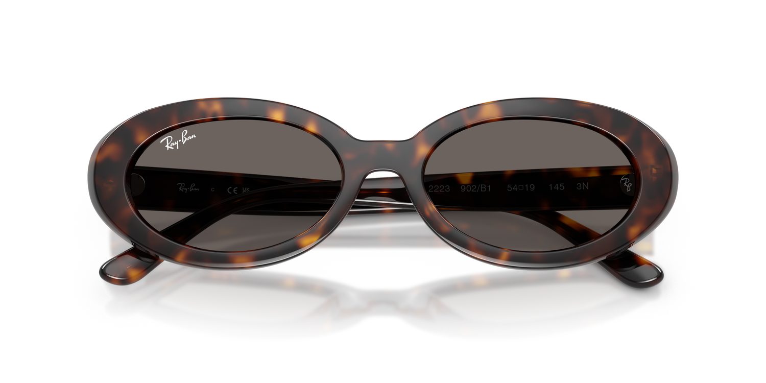 Ray-Ban | 0RB2223