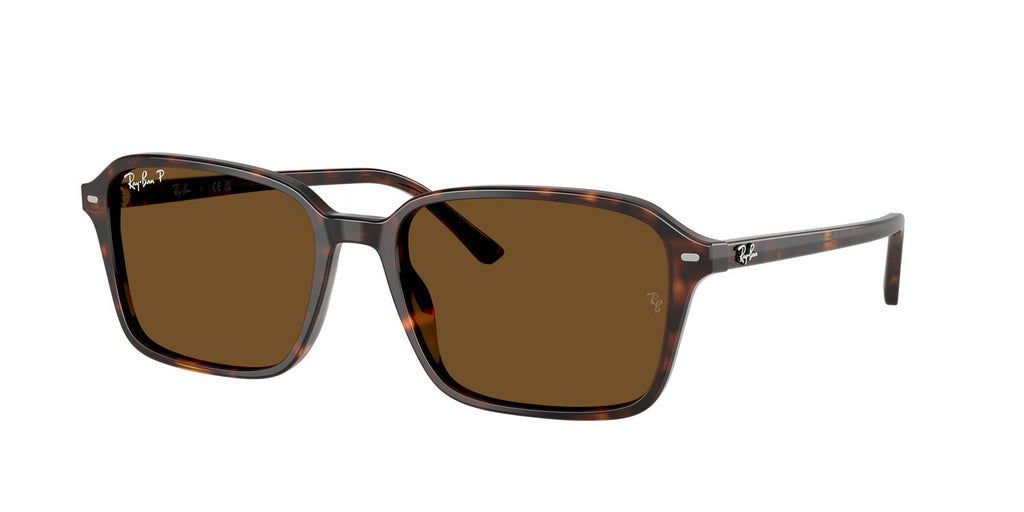 Ray-Ban | 0RB2231