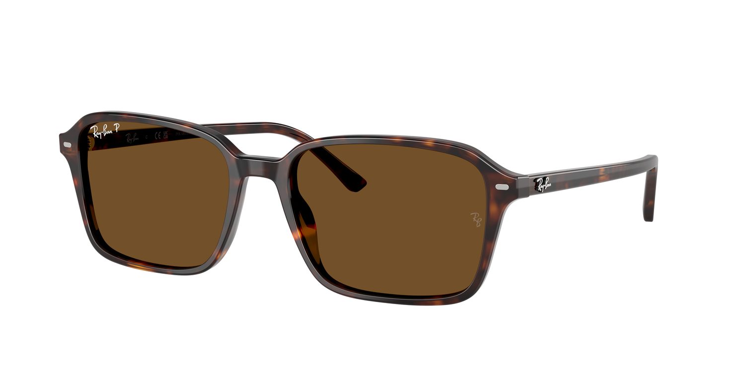 Ray-Ban | 0RB2231