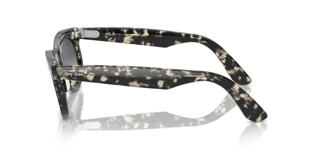 Ray-Ban | 0RB2242