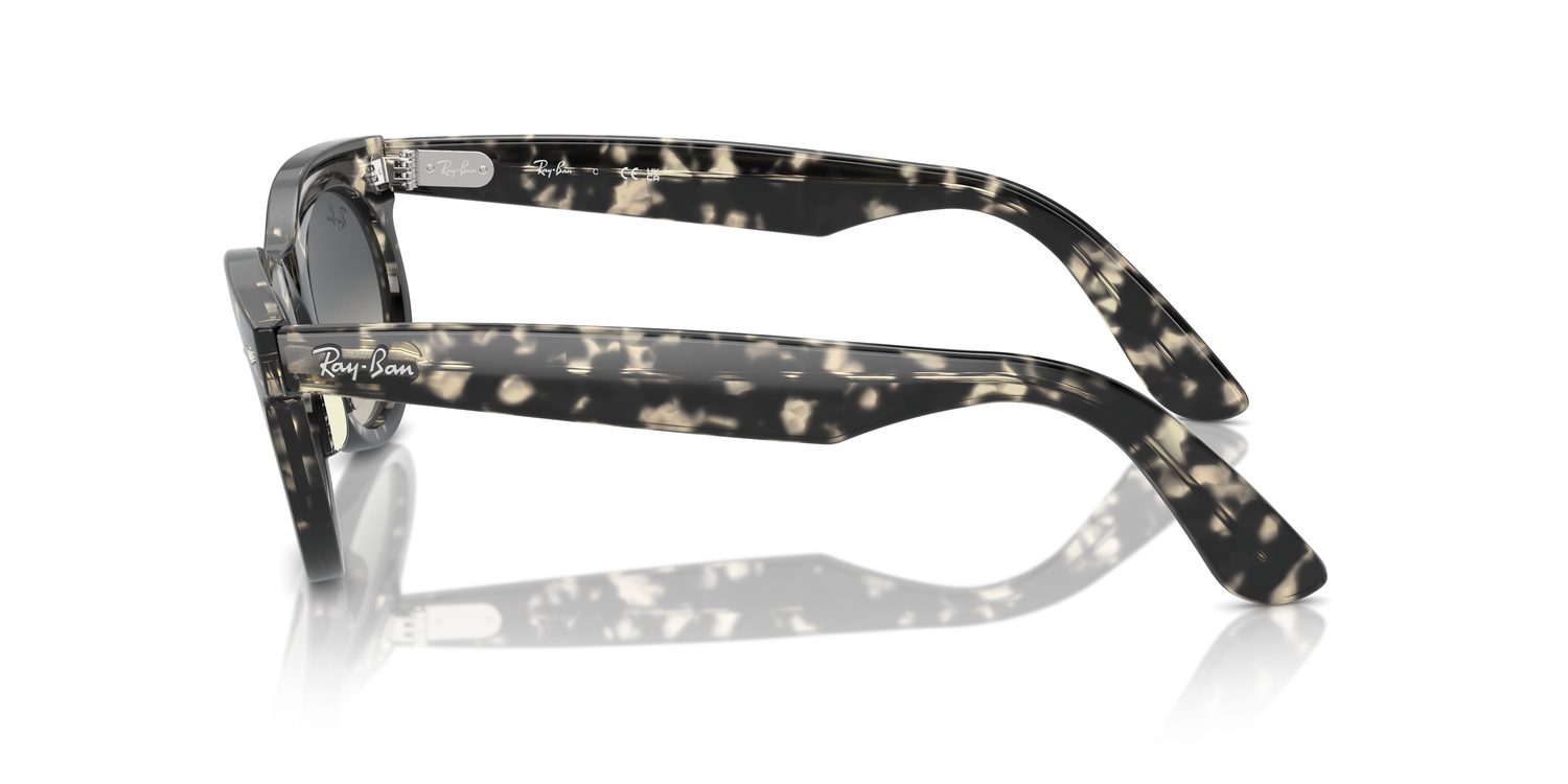 Ray-Ban | 0RB2242