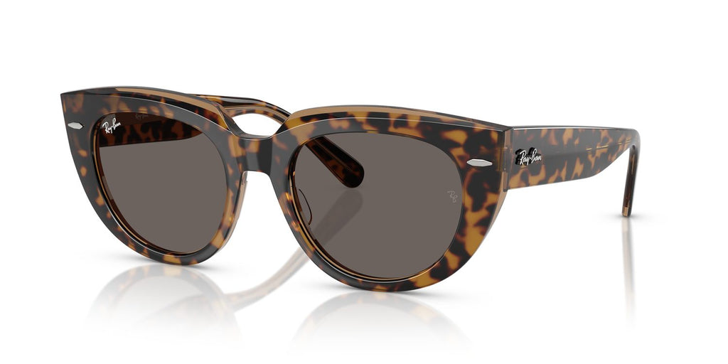 Ray-Ban | 0RB2286