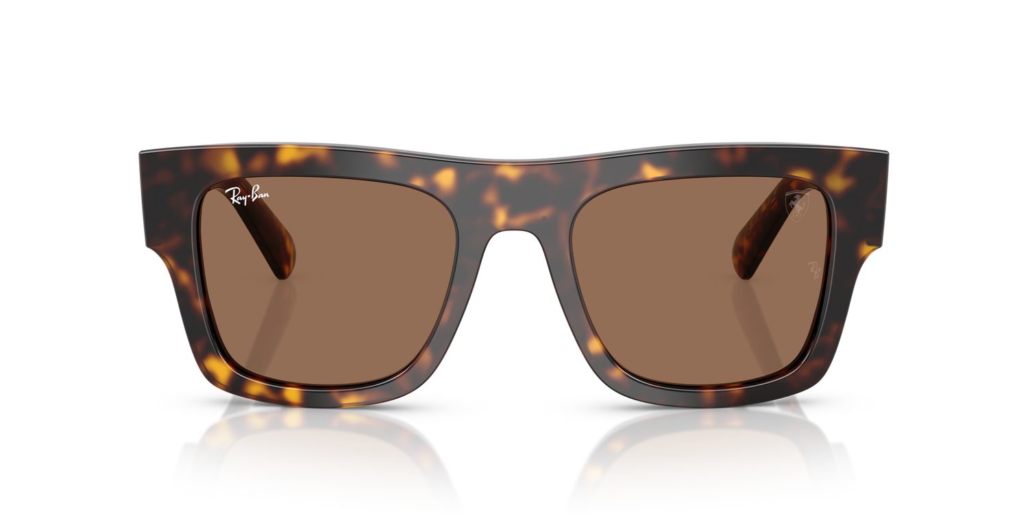 Ray-Ban | 0RB2217M