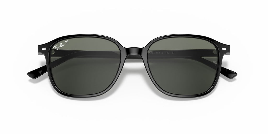 Ray-Ban | 0RB2193
