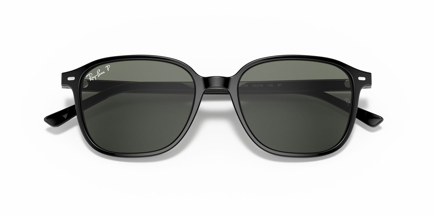 Ray-Ban | 0RB2193
