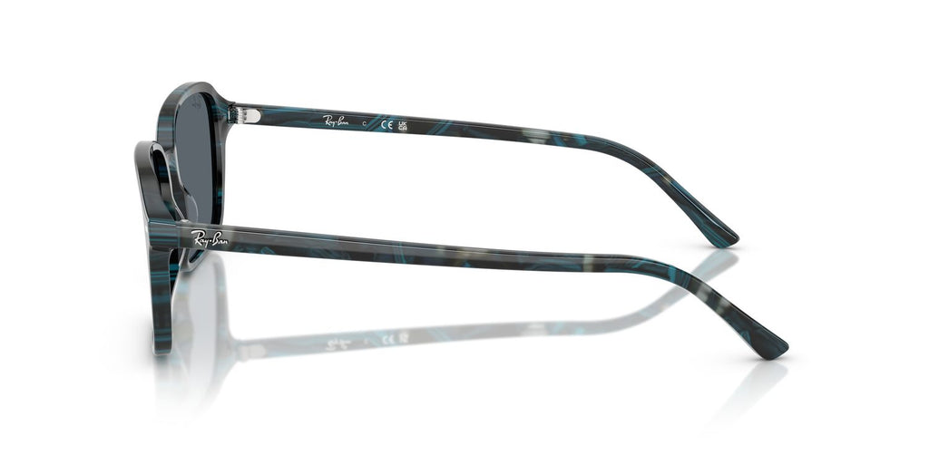 Ray-Ban | 0RB2231