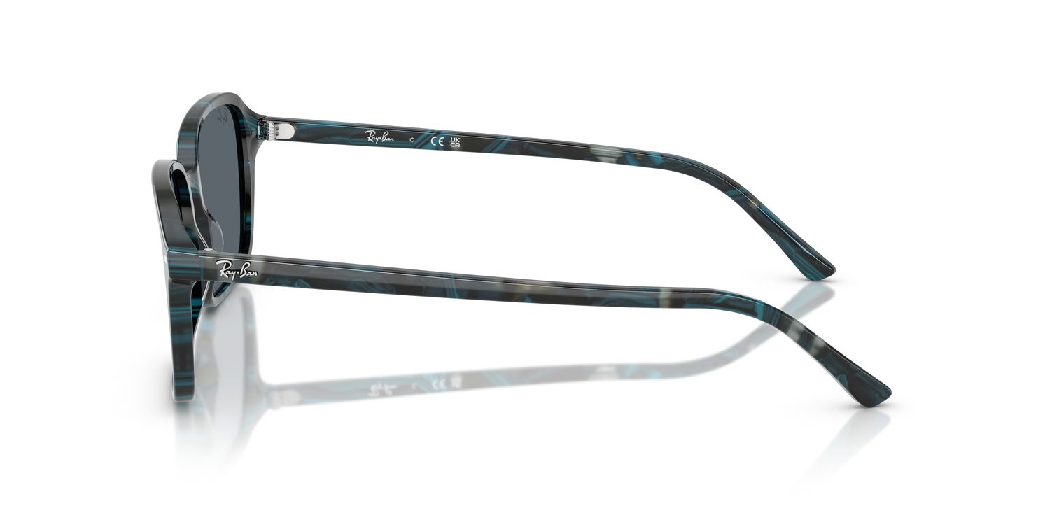 Ray-Ban | 0RB2231