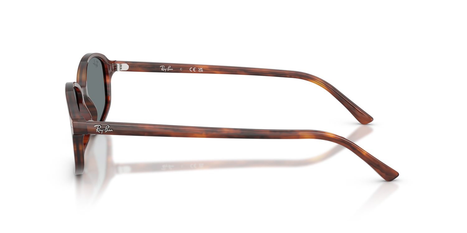 Ray-Ban | 0RB2232