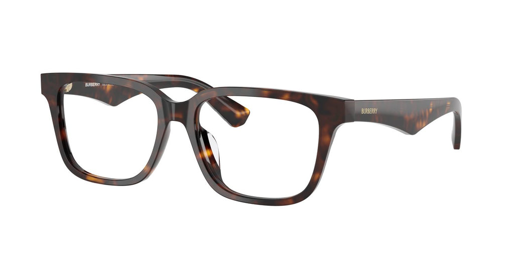 Burberry | 0BE2425D