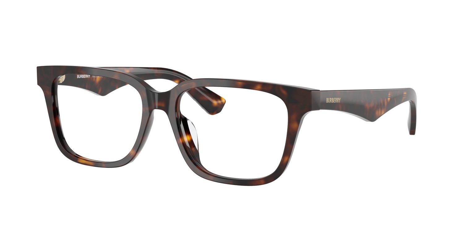 Burberry | 0BE2425D