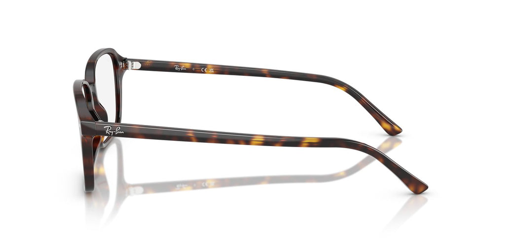Ray-Ban | 0RX5431 (Raimond)
