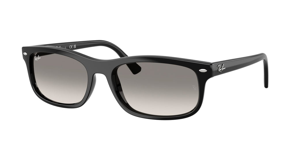 Ray-Ban | 0RB2224