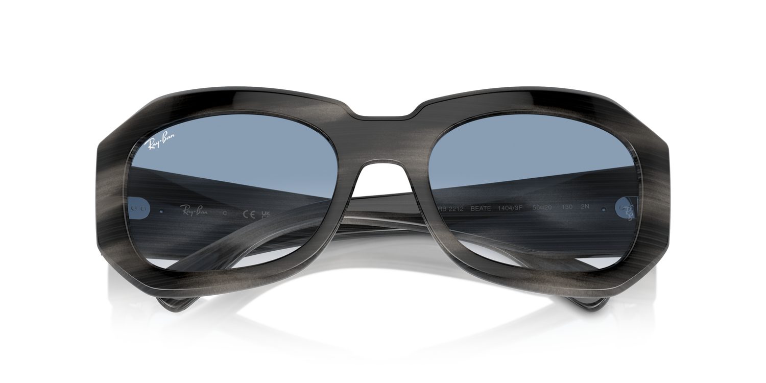 Ray-Ban | 0RB2212