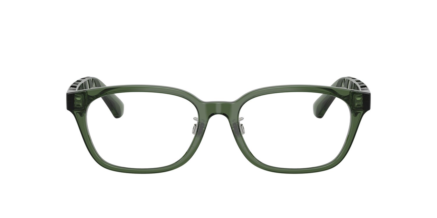 Burberry | 0BE2436D